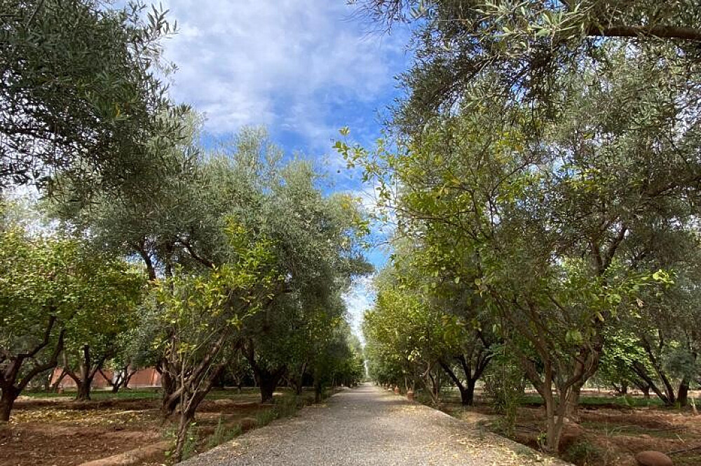 7-Day Martial Arts and Meditation Retreat in Marrakech, Morocco 3