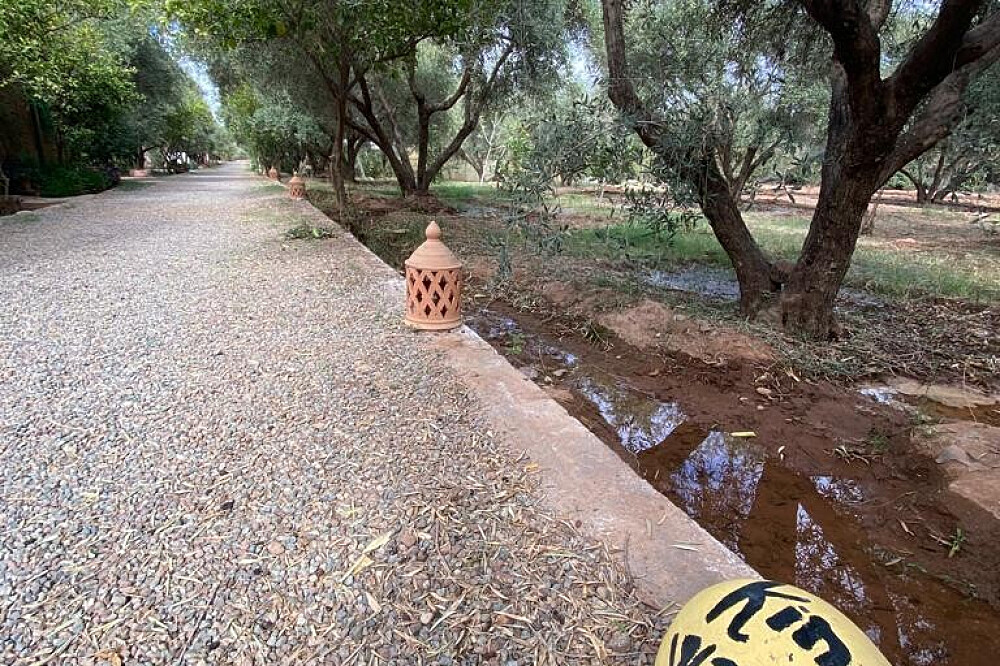 7-Day Martial Arts and Meditation Retreat in Marrakech, Morocco 4
