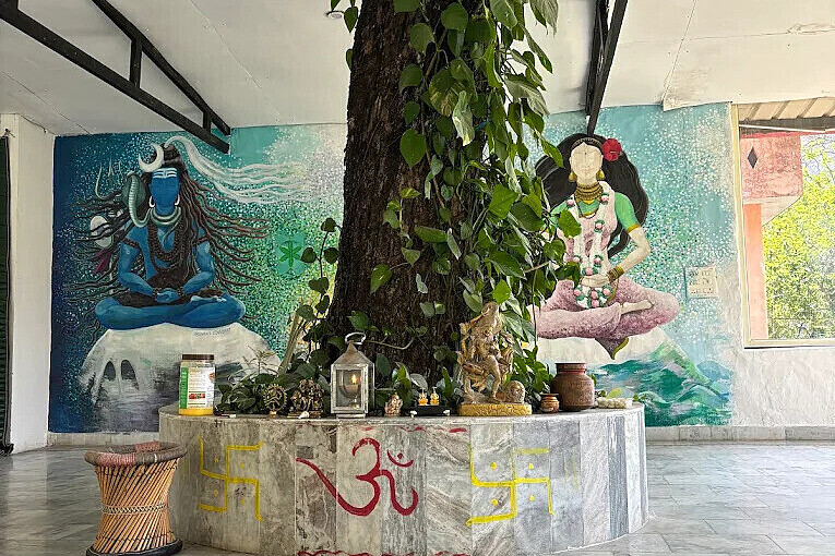 Programme de méditation et de gestion du stress de 7 jours en Inde 7