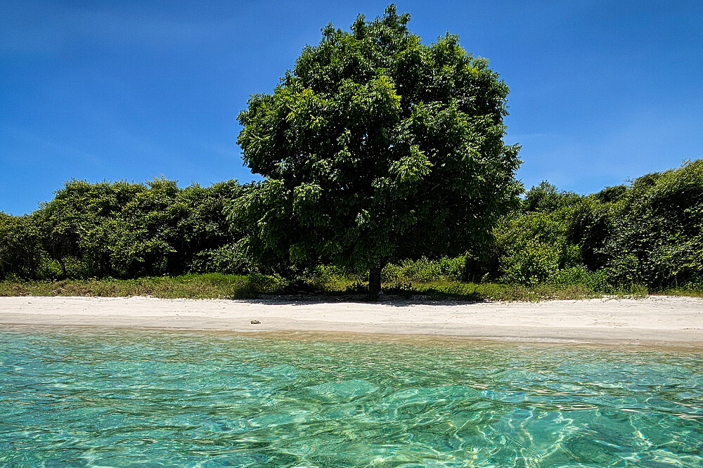 Retraite de réinitialisation du système nerveux de 7 jours à Hidden Beach Bay, en Indonésie 42