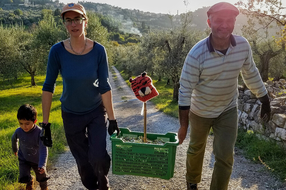 Imersão de Yoga e Colheita de Azeitona de 7 Dias: Quinta de Oliveiras na Toscana, Itália 12