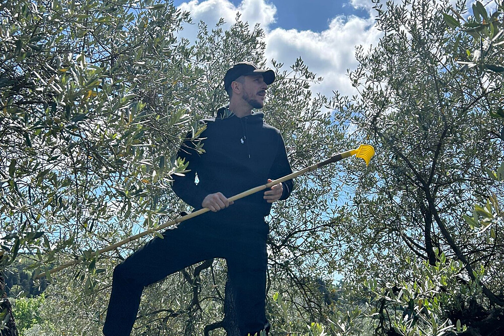 Imersão de Yoga e Colheita de Azeitona de 7 Dias: Quinta de Oliveiras na Toscana, Itália 19