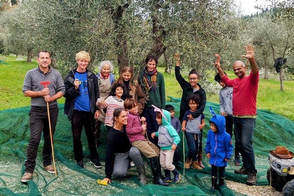 Imersão de Yoga e Colheita de Azeitona de 7 Dias: Quinta de Oliveiras na Toscana, Itália 11