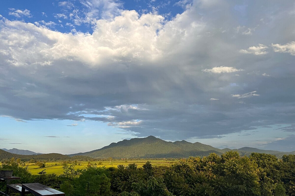 Séjour de 7 jours en ferme biologique à Chiang Rai, dans le nord de la Thaïlande 10