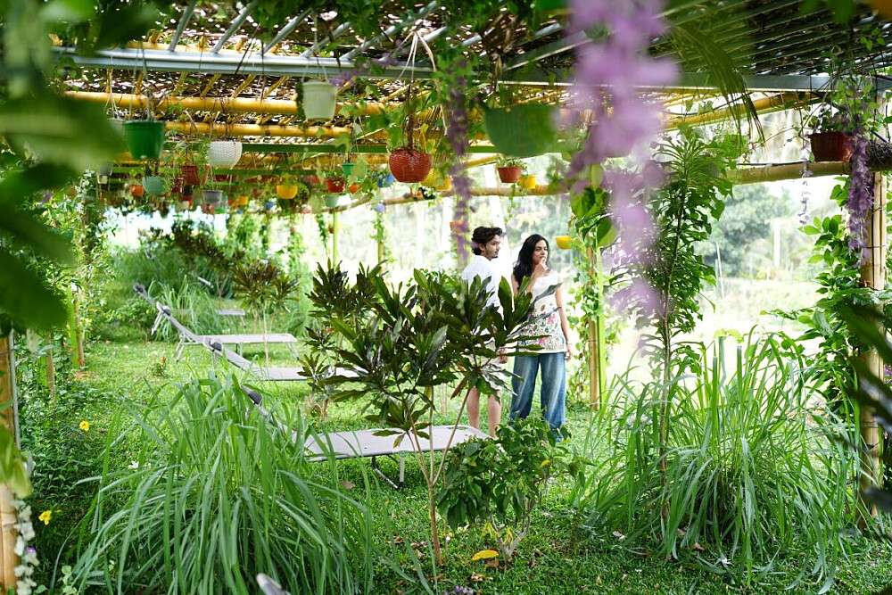 Retiro de Desintoxicação com Panchakarma e Cura Ayurvédica de 7 Dias na Índia 10