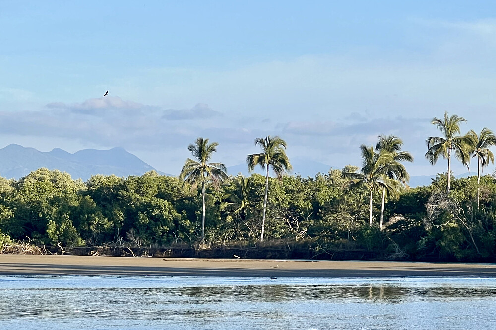 Retiro Privado de Cura de 7 Dias em Nayarit, México 39