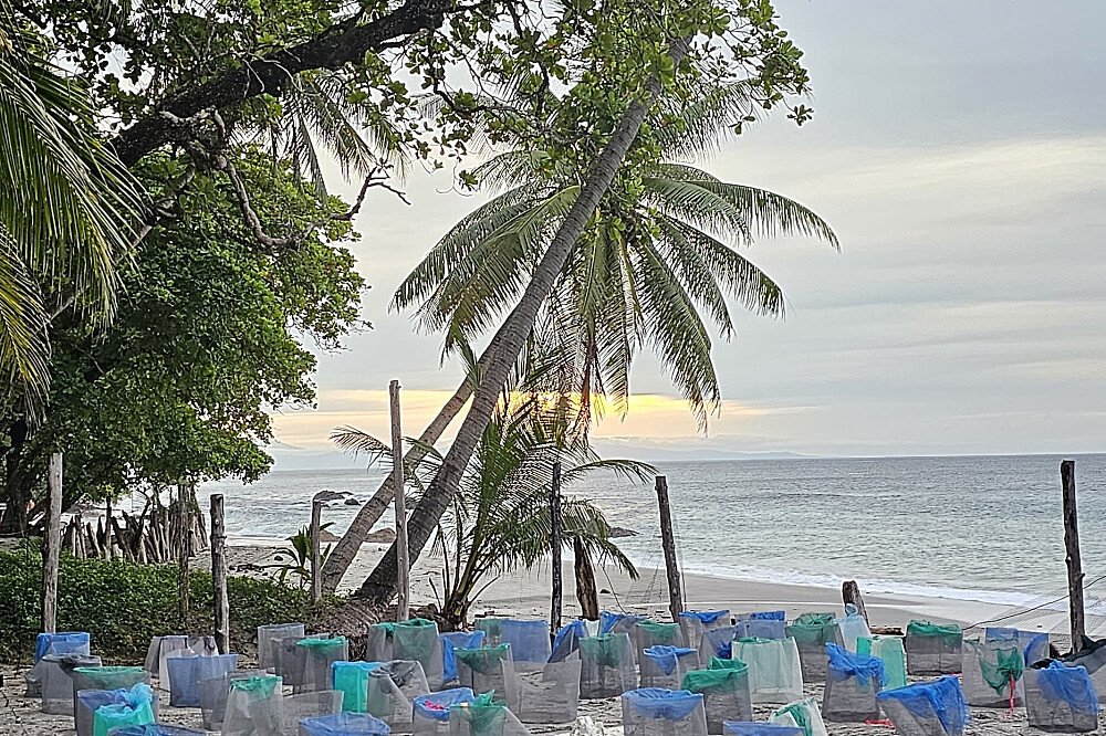 7 Day Radiant & Ageless: A Woman's Retreat in Costa Rica 4