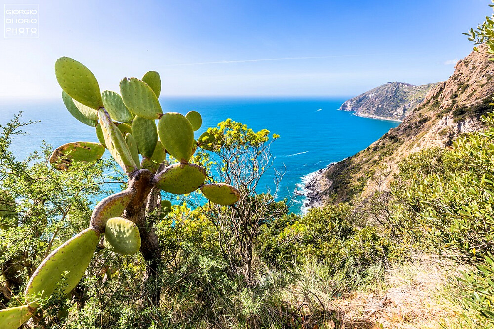 Retiro de Yoga de 7 Dias com Vista para o Mar e Spa Geotermal em Ischia 9