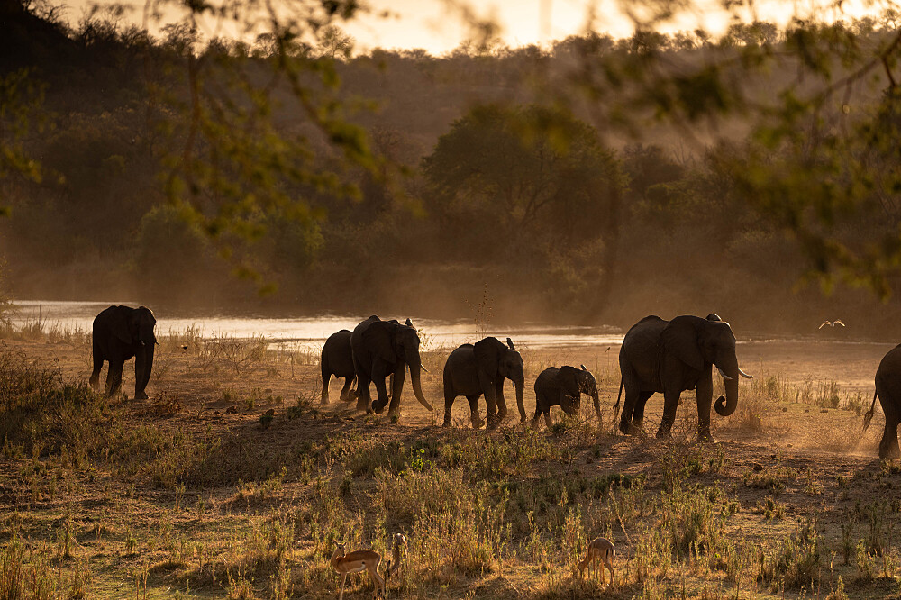 7 Day Soul Safari And Luxury Yoga Retreat In South Africa 31
