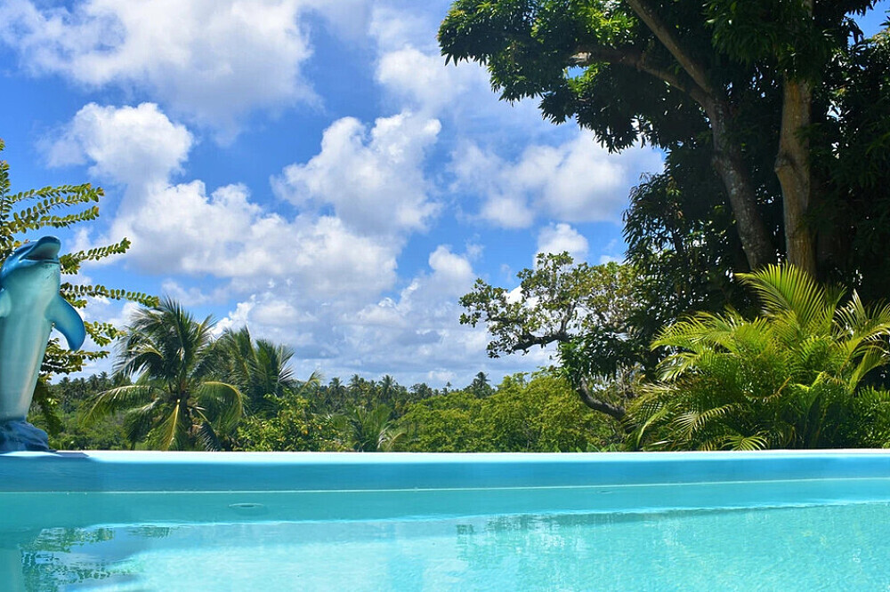 * 7 Day Surf Holidays in Salvador da Bahia Brazil 6