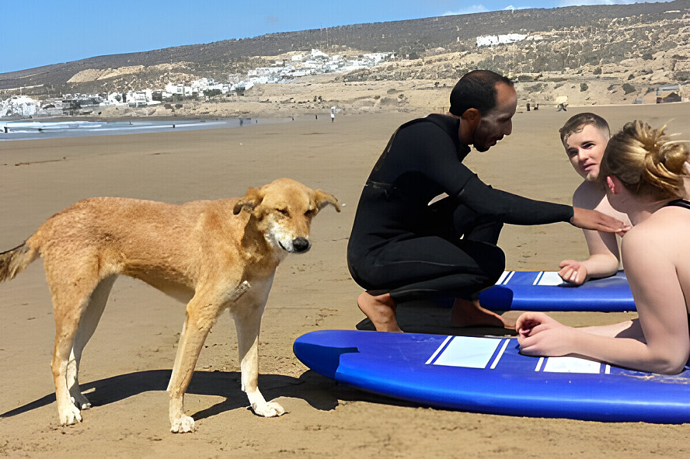 Retiro de Surf e Yoga de 7 Dias em Tamraght, Marrocos 10