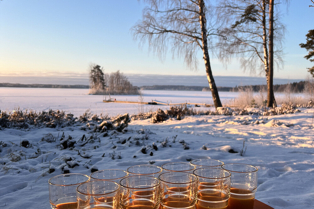 8 Tage Winter Elo – Yoga, Atem & Kulturreise in Finnland 11