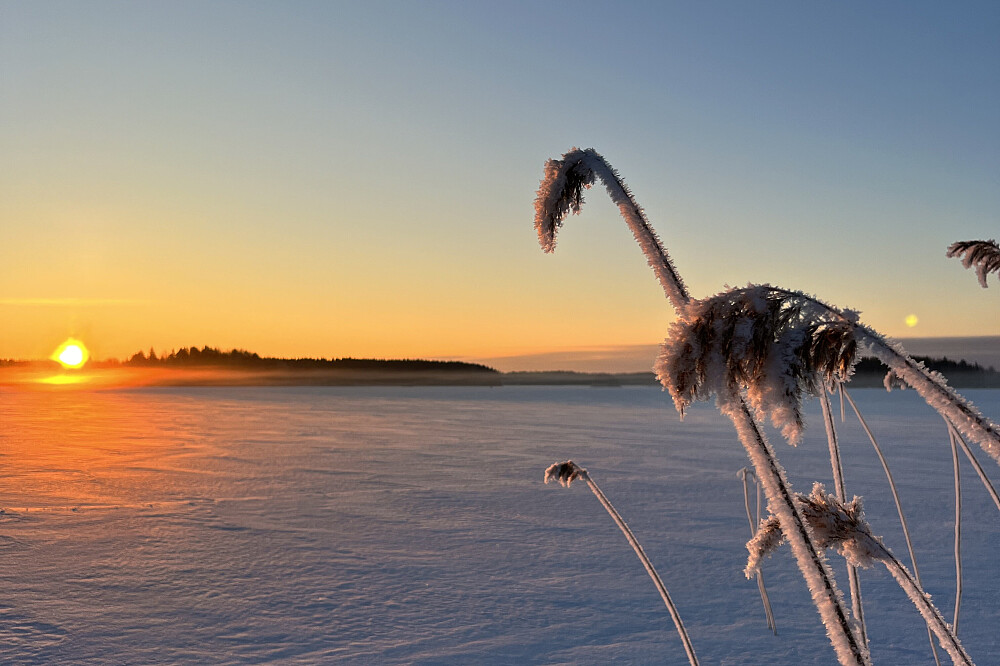 8 Day Winter Elo - Yoga, Breath & Cultural Journey in Finland 5