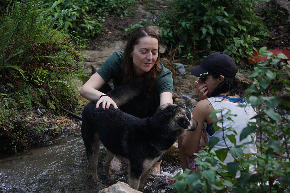 7 Day Yoga, Meditation & Sound Healing Retreat, Rishikesh, India 19