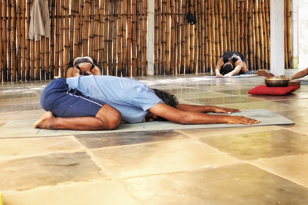Retiro de Yoga e Ayurveda de 7 Dias em Goa, Índia 6