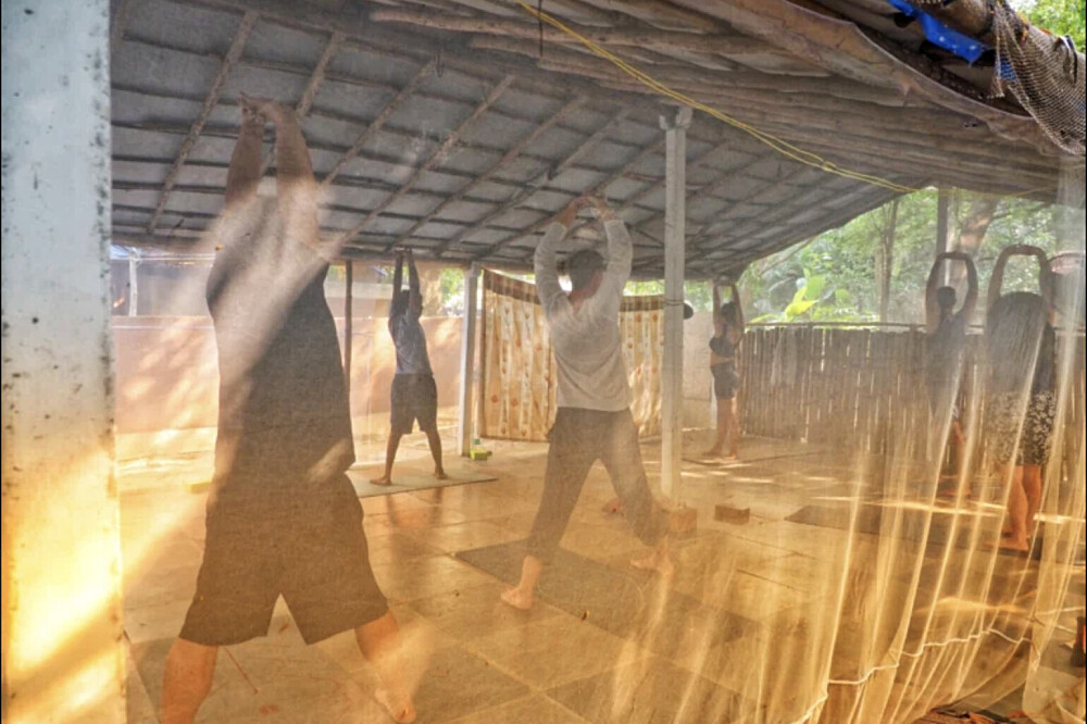 Retiro de Yoga e Ayurveda de 7 Dias em Goa, Índia 7