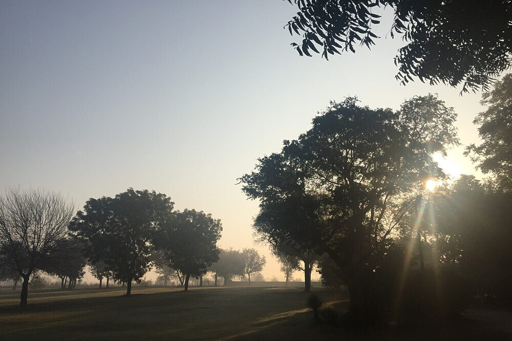 7 Days Yoga, Wellness and Experiential Retreat in India 3