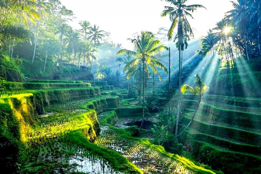 8 Day Ancient Watukaru Yoga & Authentic Culture Retreat, Bali 36