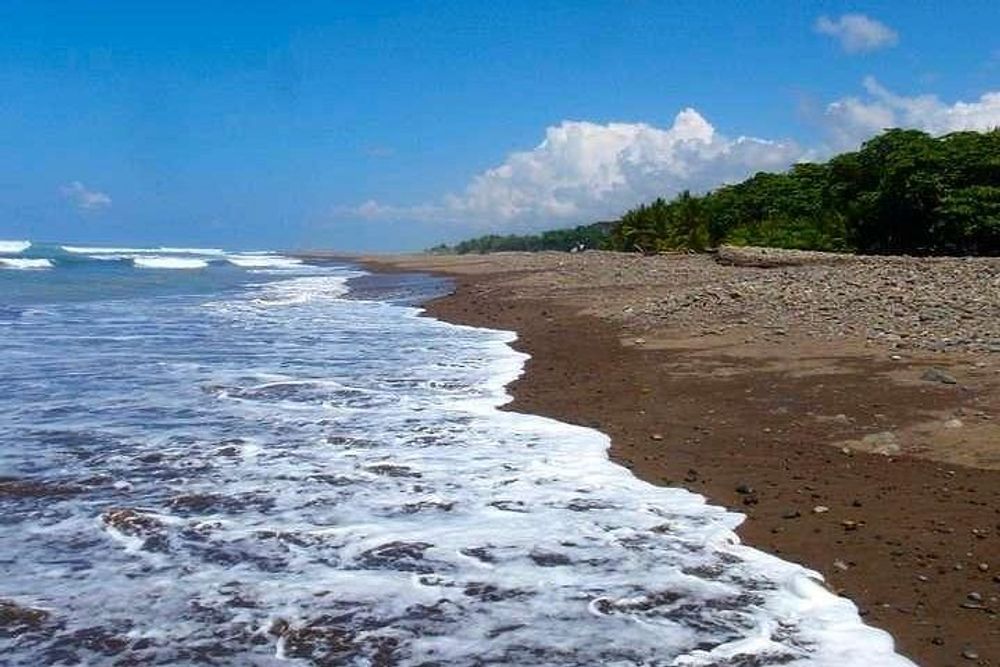 8 Day Awaken Your Truth Live Experience Retreat in Costa Rica 4