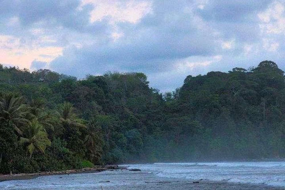 Retiro «Awaken Your Truth Live Experience» de 8 Dias na Costa Rica 31
