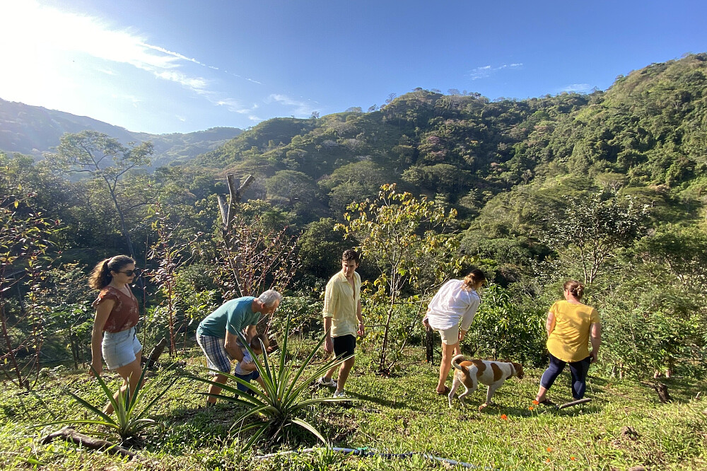 8 Day Conscious Living & Jungle Experience Retreat 5