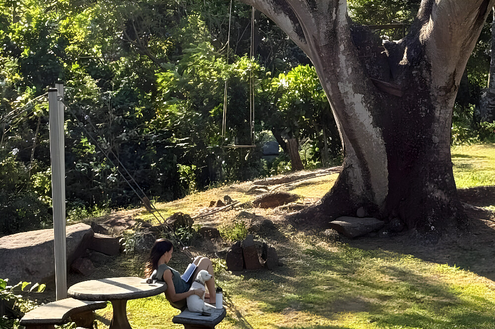 8 Day Conscious Living & Jungle Experience Retreat 2