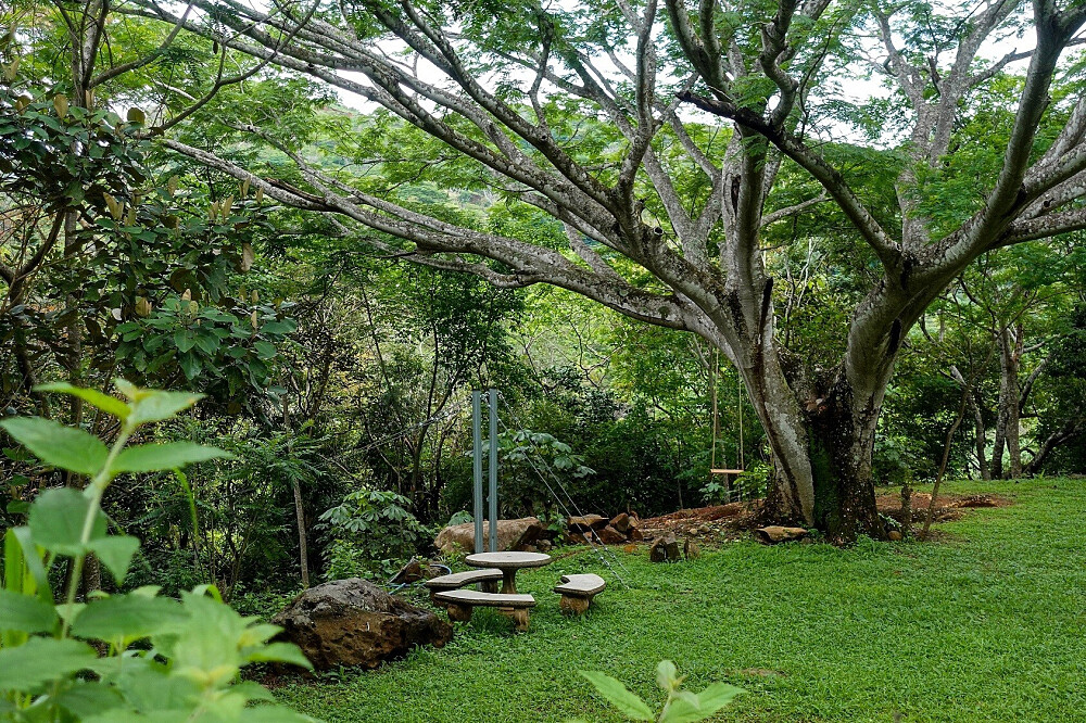 8 dagen retreat Bewust Leven & Jungle-ervaring 31