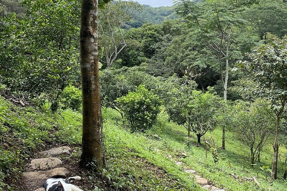 8 dagen retreat Bewust Leven & Jungle-ervaring 44