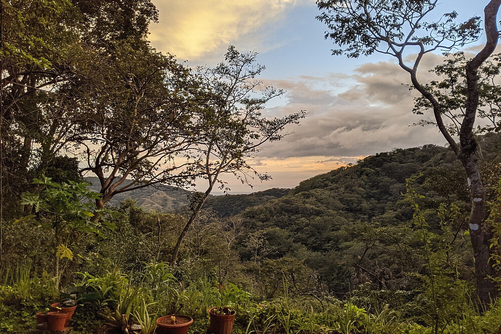 8 dagen retreat Bewust Leven & Jungle-ervaring 45