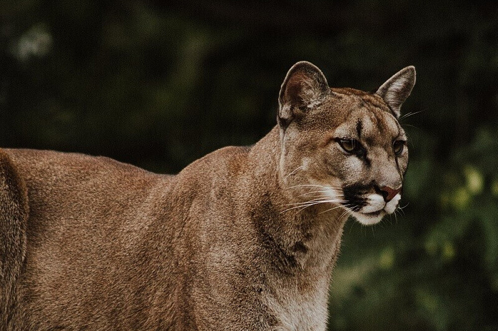 8 dagen retreat Bewust Leven & Jungle-ervaring 33