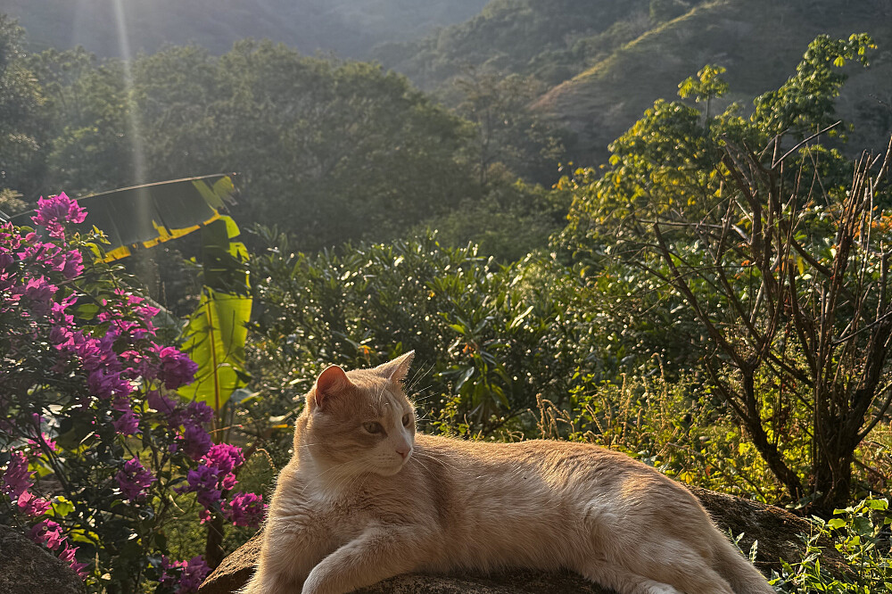 8 dagen retreat Bewust Leven & Jungle-ervaring 65
