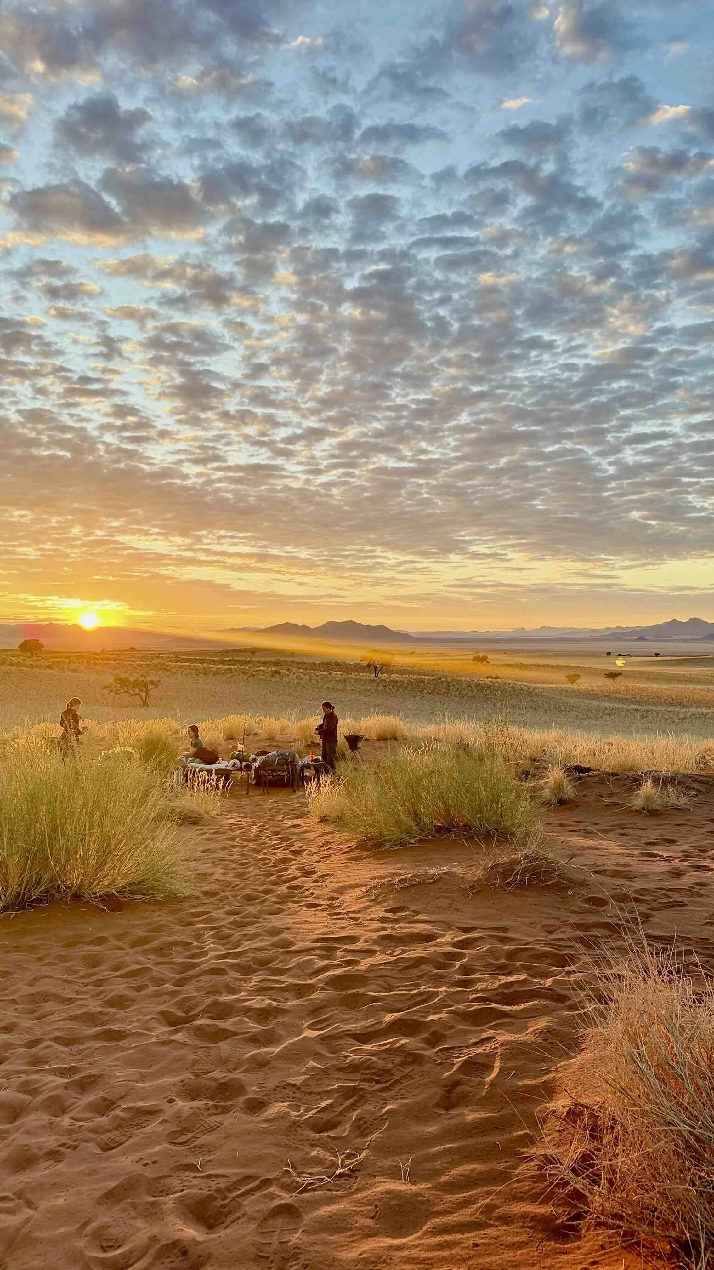 8 Tage Desert Secrets: Yoga & Tok Tokkie Trail Reise durch Namibia 2