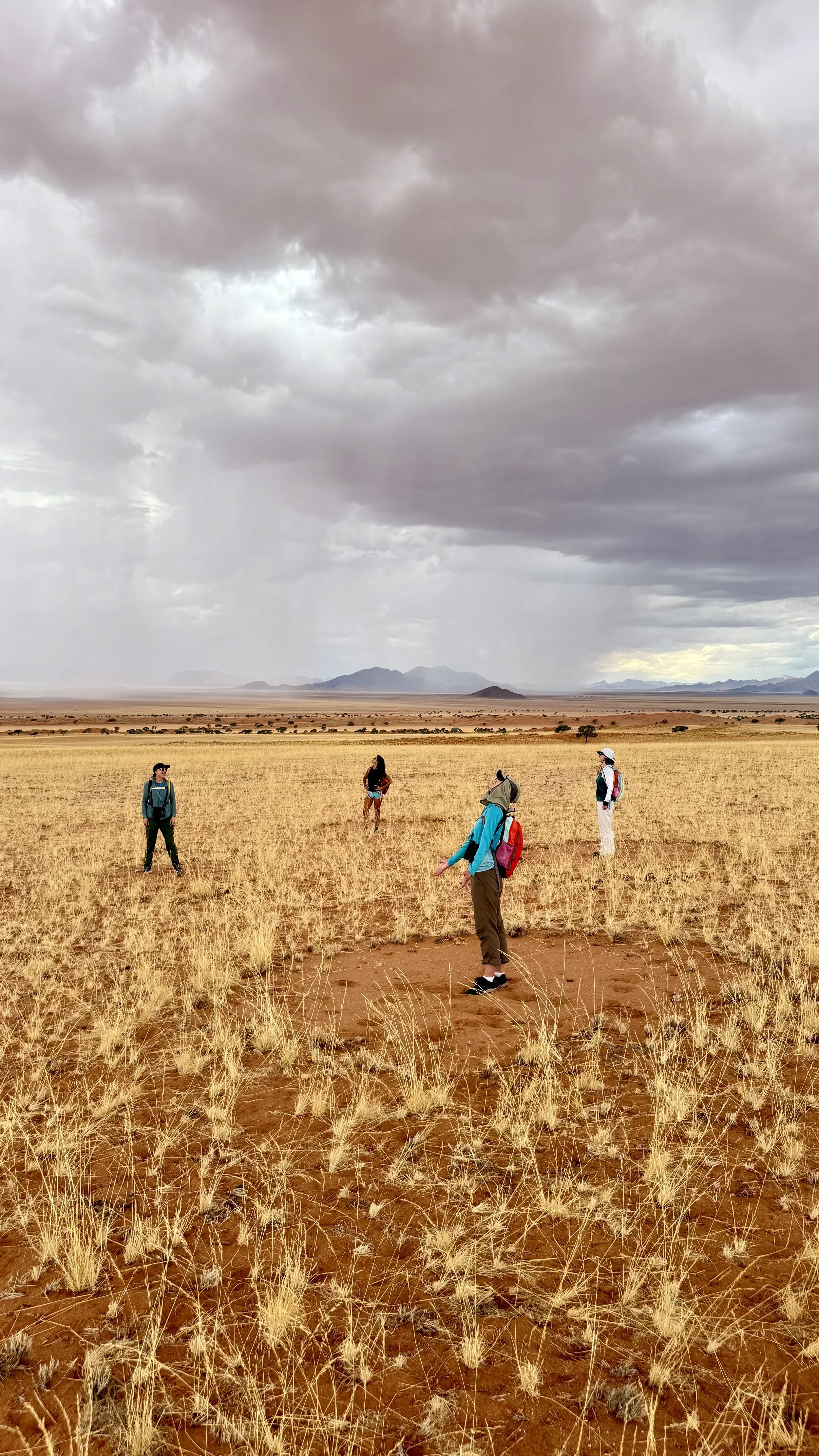 8 Tage Desert Secrets: Yoga & Tok Tokkie Trail Reise durch Namibia