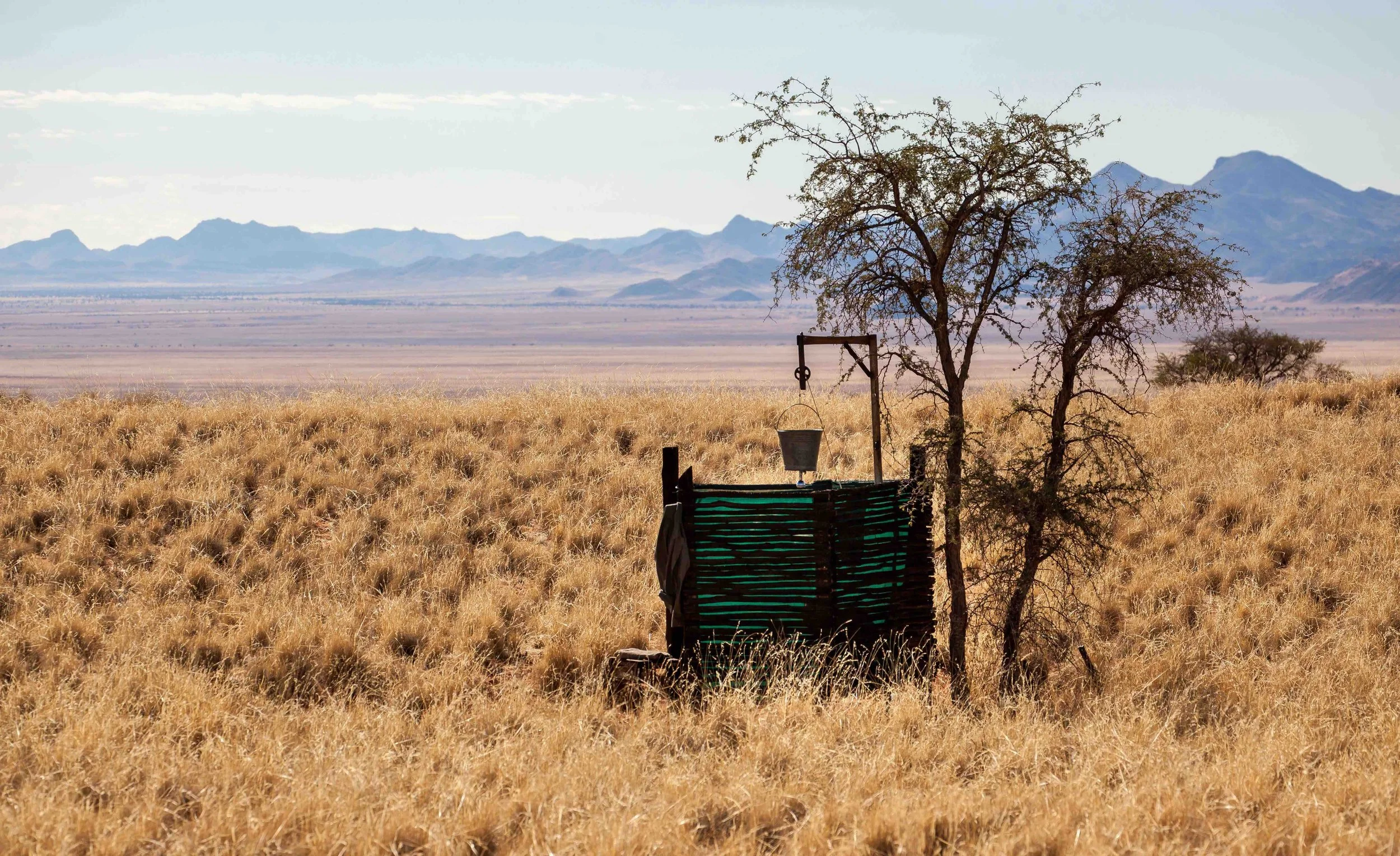 8 Tage Desert Secrets: Yoga & Tok Tokkie Trail Reise durch Namibia 6