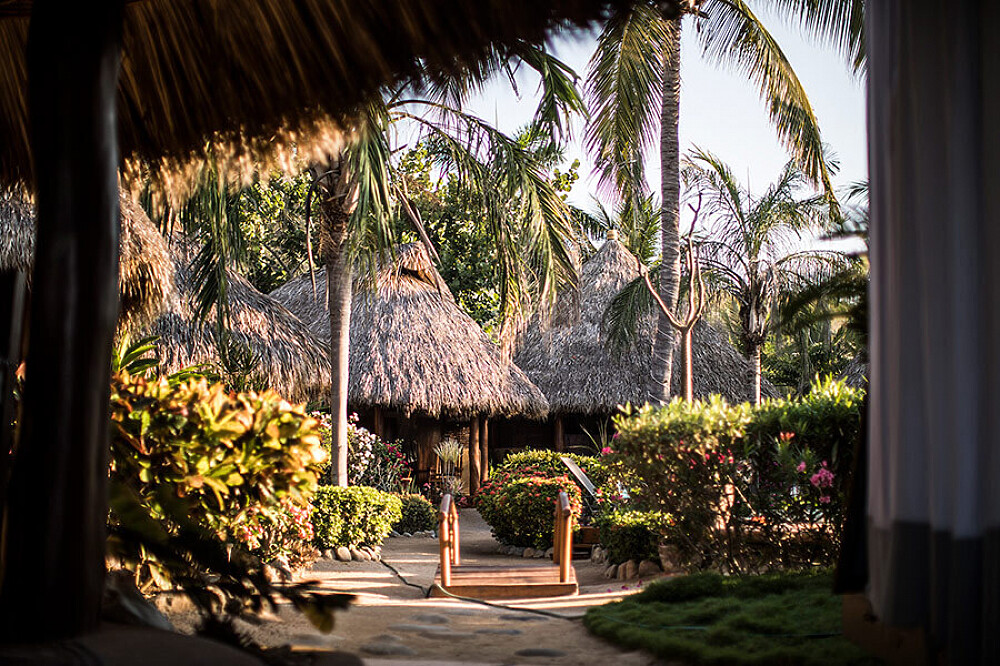 8 Day Healing 'Restore & Refresh' Retreat in Troncones, Mexico
