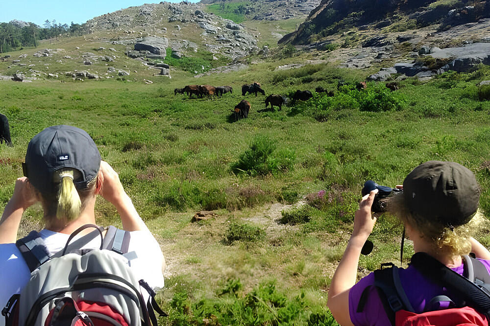 Retiro de Caminhadas e Yoga de 8 Dias no Parque Nacional da Peneda-Gerês 29