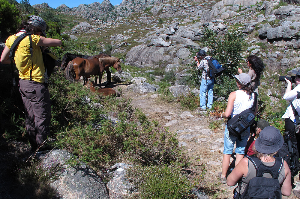 Retiro de Caminhadas e Yoga de 8 Dias no Parque Nacional da Peneda-Gerês 25