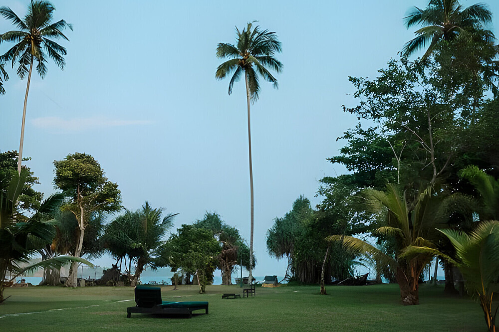 Retiro de Bem-Estar Holístico de 8 Dias no Sri Lanka 18