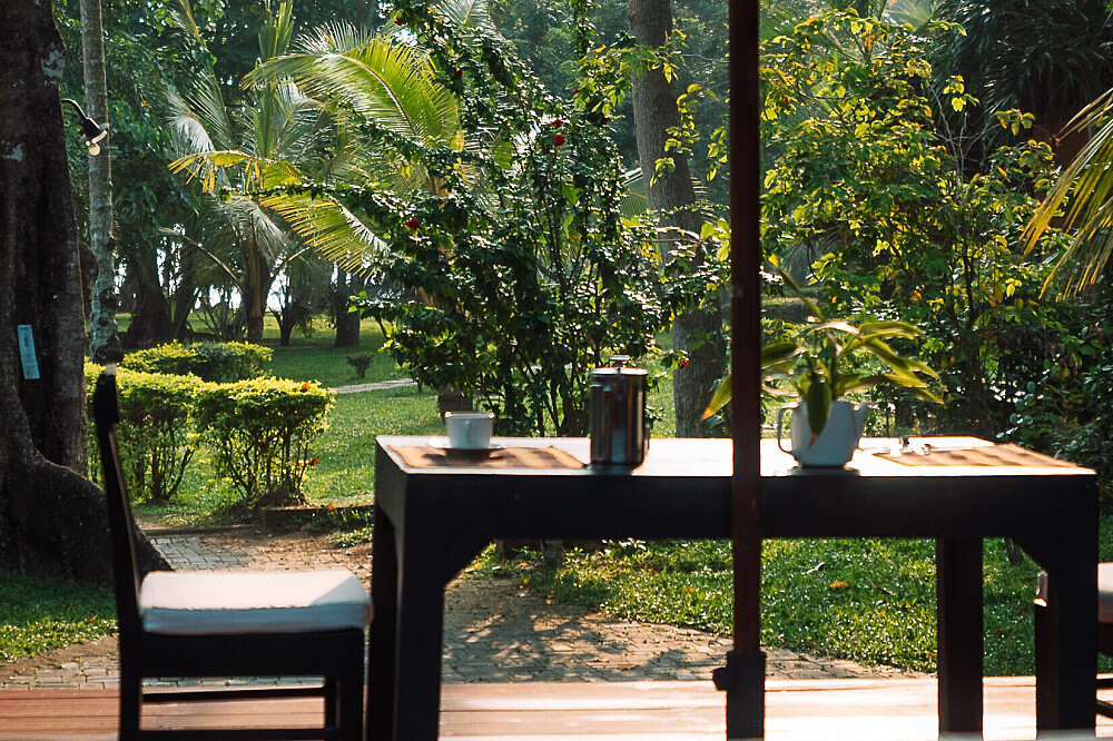 Retiro de Bem-Estar Holístico de 8 Dias no Sri Lanka 21