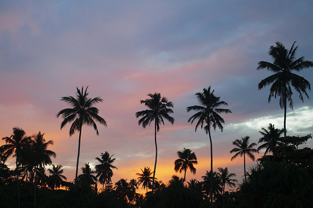 Retiro de Bem-Estar Holístico de 8 Dias no Sri Lanka 8