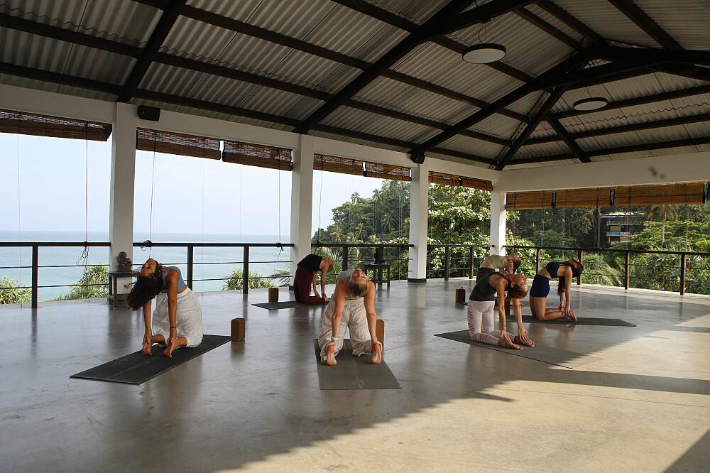Retiro de Bem-Estar Holístico de 8 Dias no Sri Lanka 6