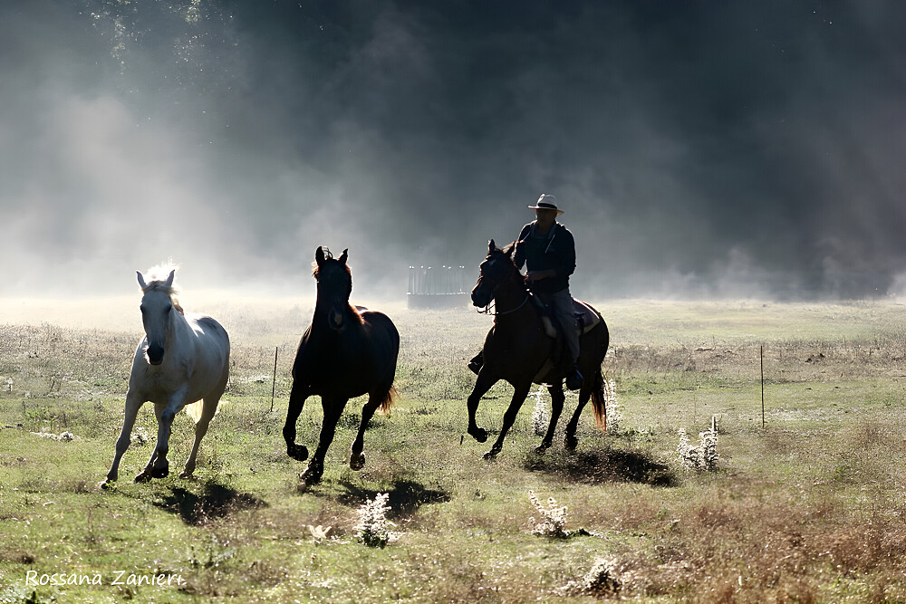 8 Day Horse Riding Week Retreat in Tuscany, Italy 2