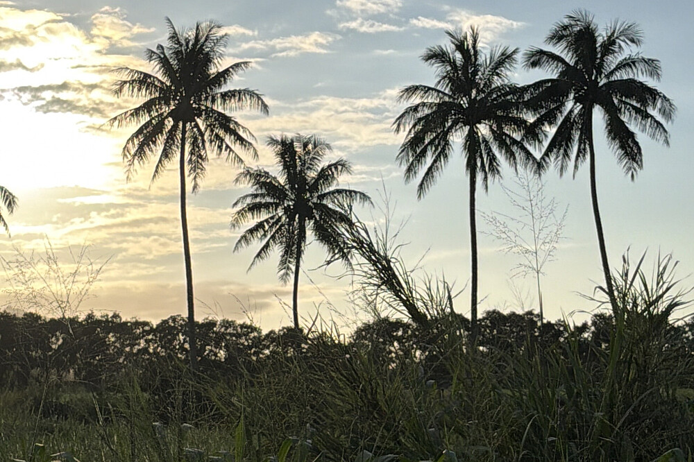 Retraite de méditation et d'aventure : 8 jours de yoga sur l'île de Kauai, à Hawaï 85