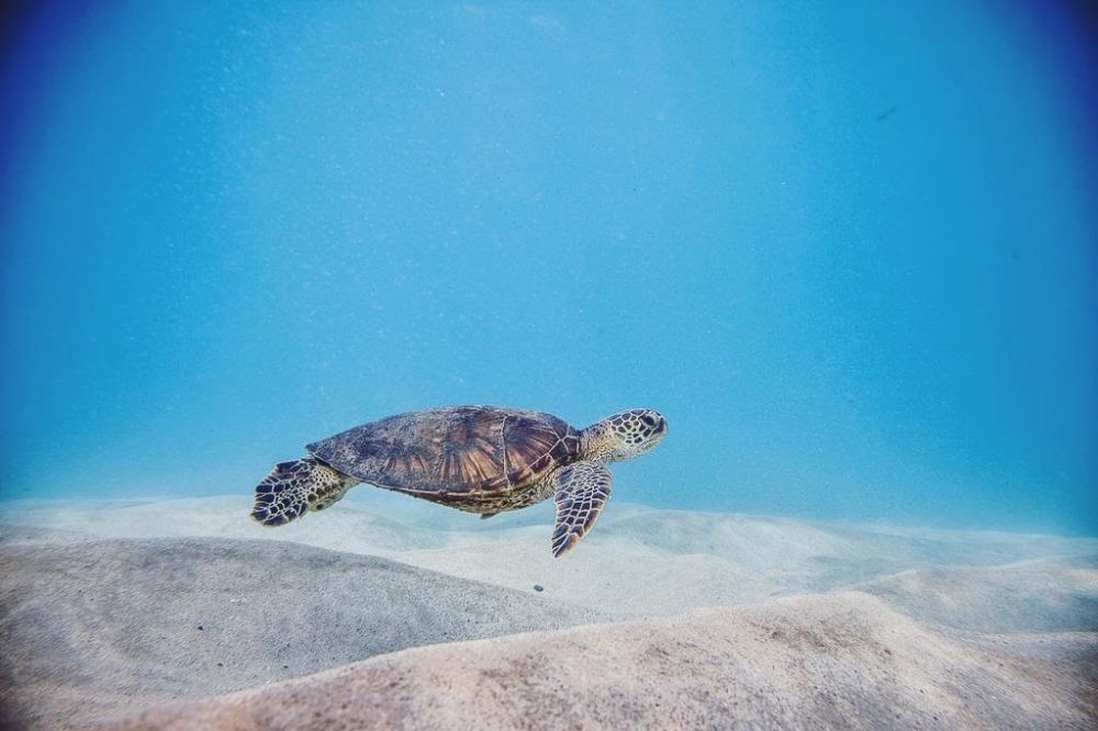 8 Day Island Yoga, Meditation Adventure Retreat, Kauai, Hawaii 4