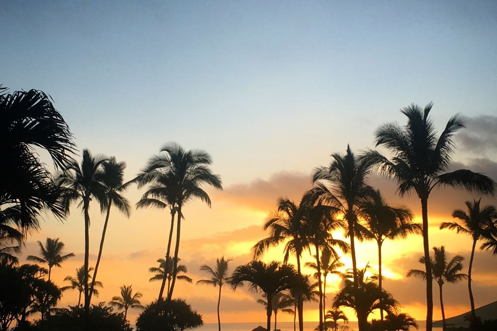 Retraite de méditation et d'aventure : 8 jours de yoga sur l'île de Kauai, à Hawaï 30