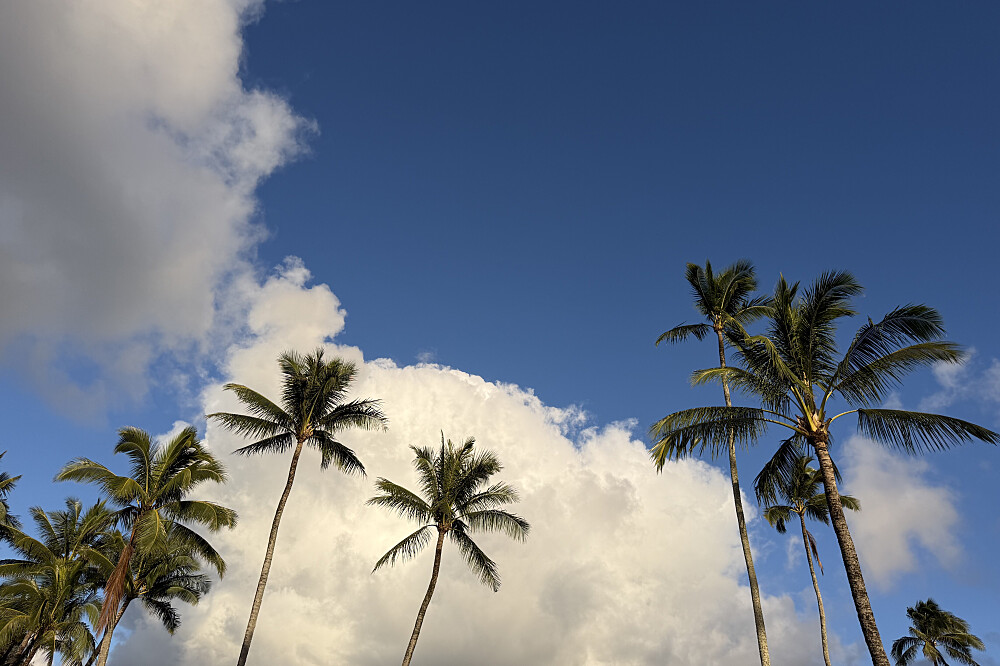 Retraite de méditation et d'aventure : 8 jours de yoga sur l'île de Kauai, à Hawaï 74
