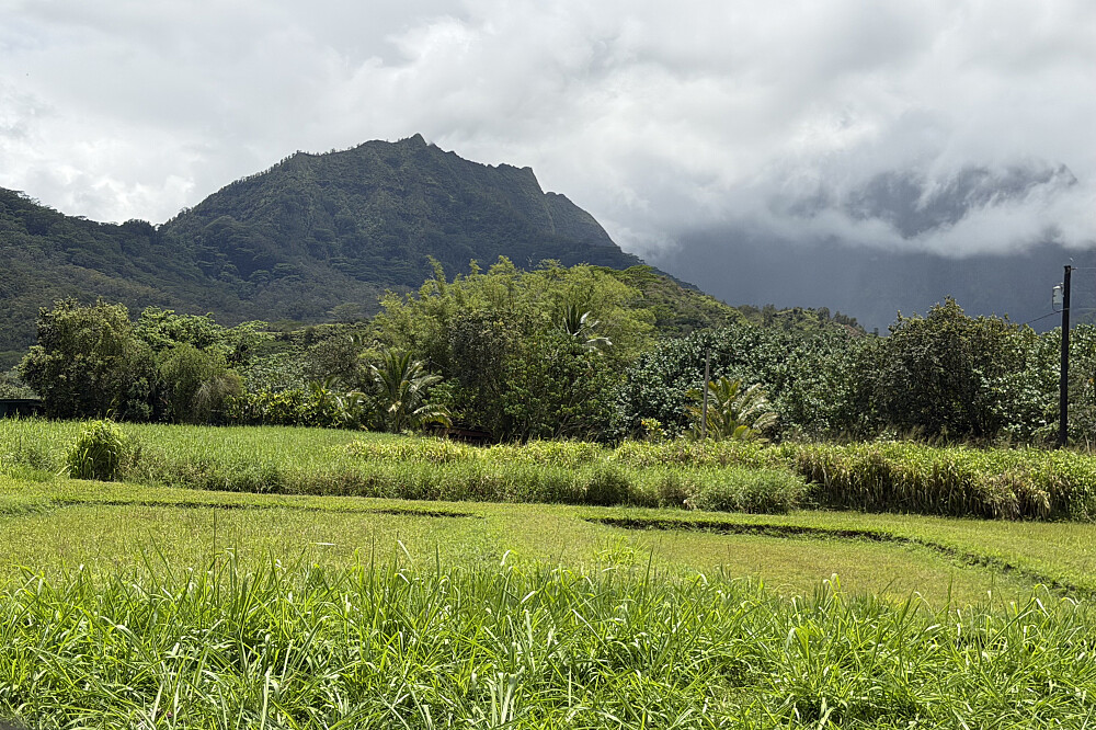 Retraite de méditation et d'aventure : 8 jours de yoga sur l'île de Kauai, à Hawaï 76
