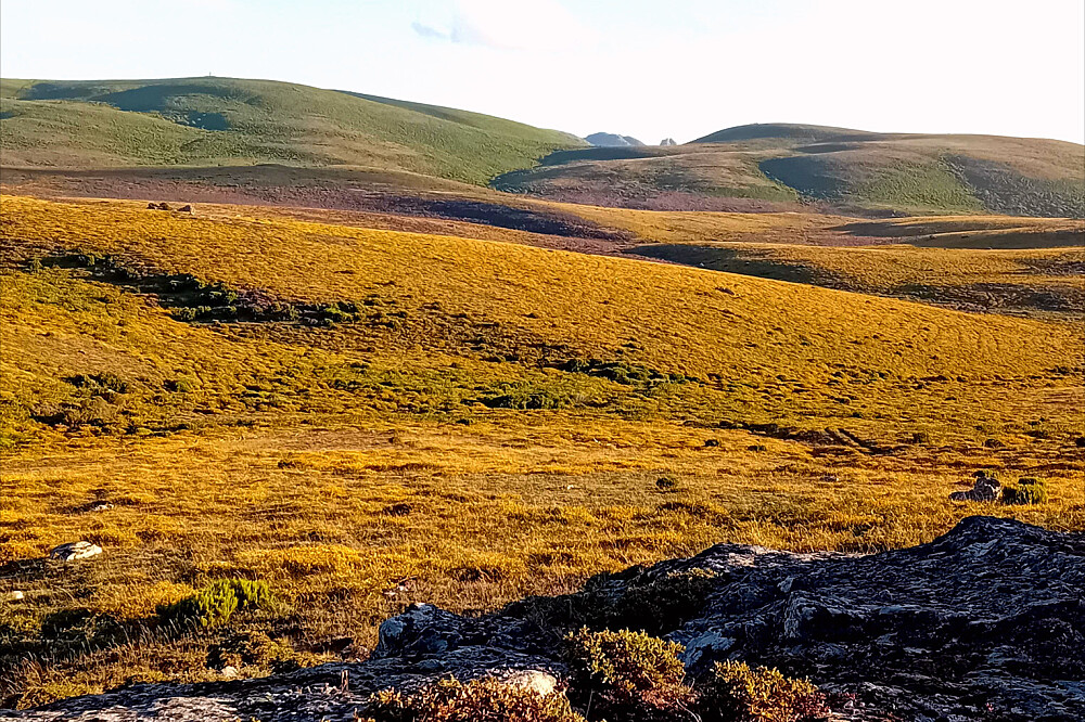 Retiro de Yoga e Natureza de 8 Dias na Serra da Peneda, Portugal 27