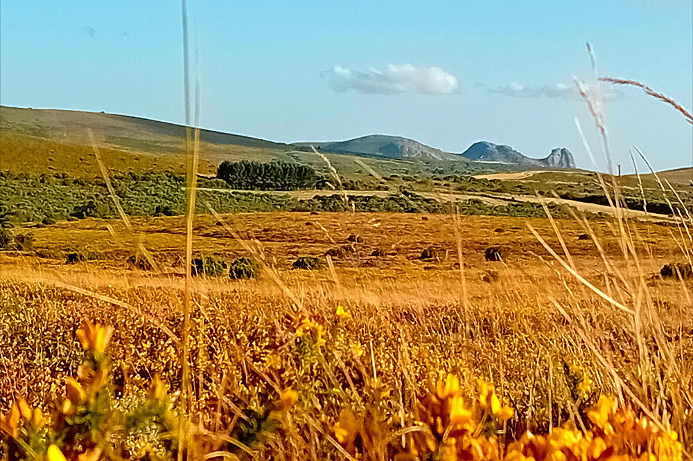 Retiro de Yoga e Natureza de 8 Dias na Serra da Peneda, Portugal 26