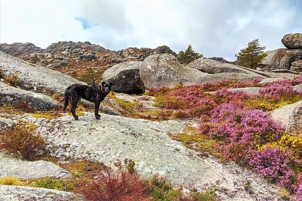 Retiro de Yoga e Natureza de 8 Dias na Serra da Peneda, Portugal 32